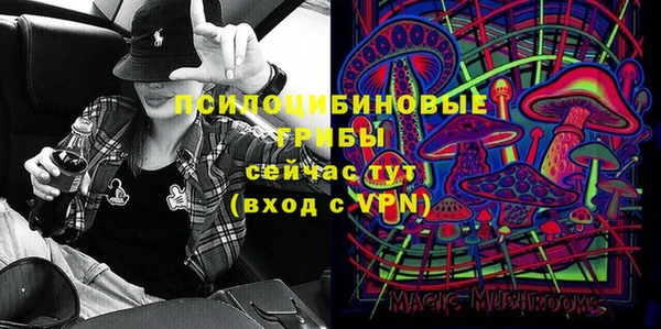 apvp Бугульма