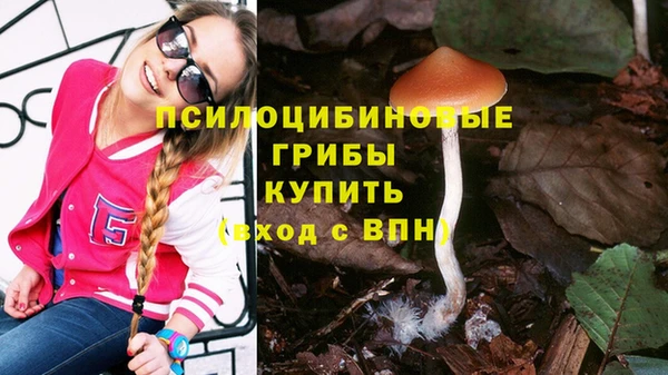 ешки Бородино