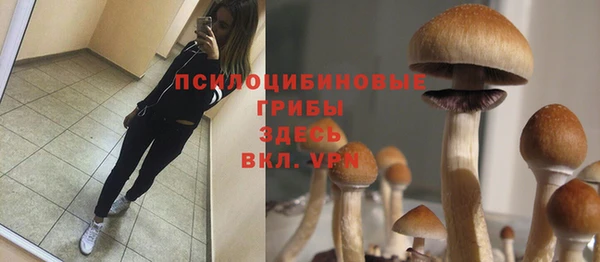 ешки Бородино