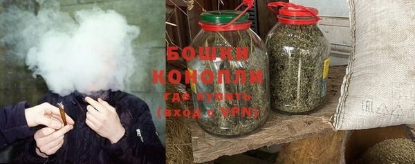 ешки Бородино