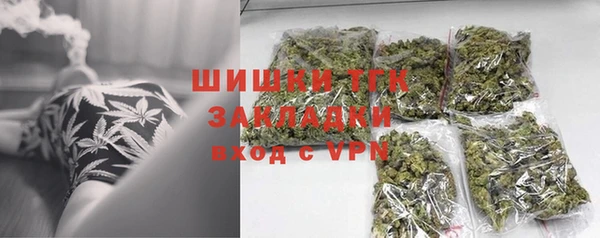 ешки Бородино